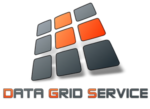 Data Grid Service logo