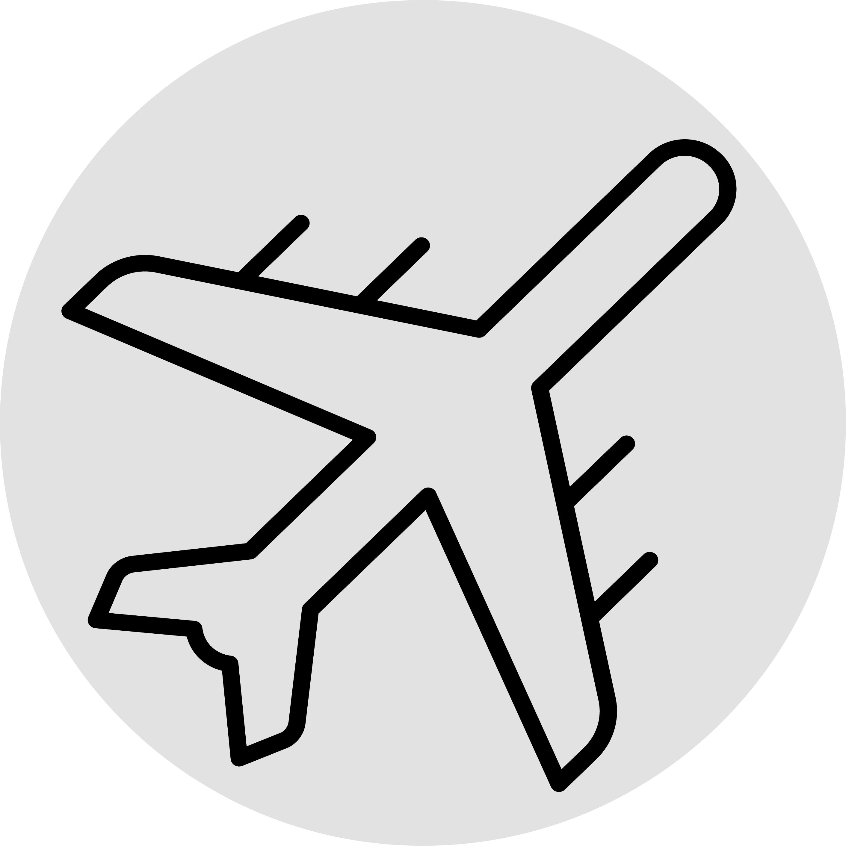 plane icon